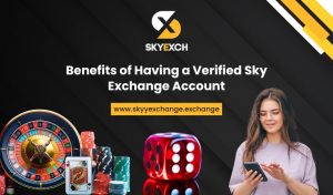 sky exchange