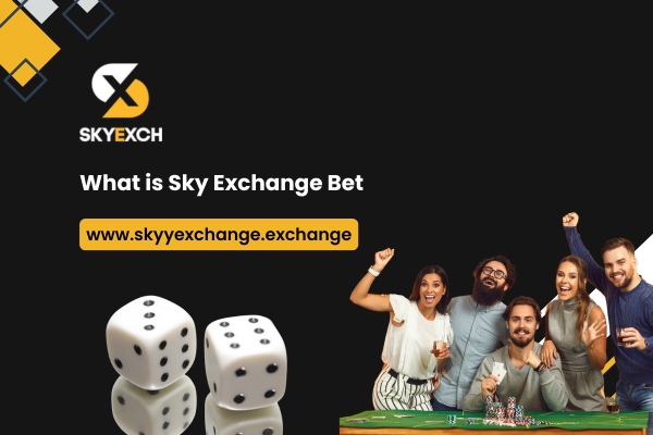 What is Sky Exchange Bet?