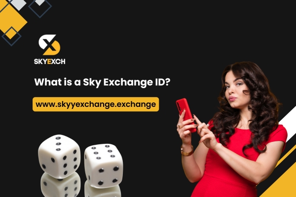 What is a Sky Exchange ID