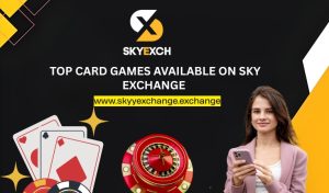 sky exchange casino